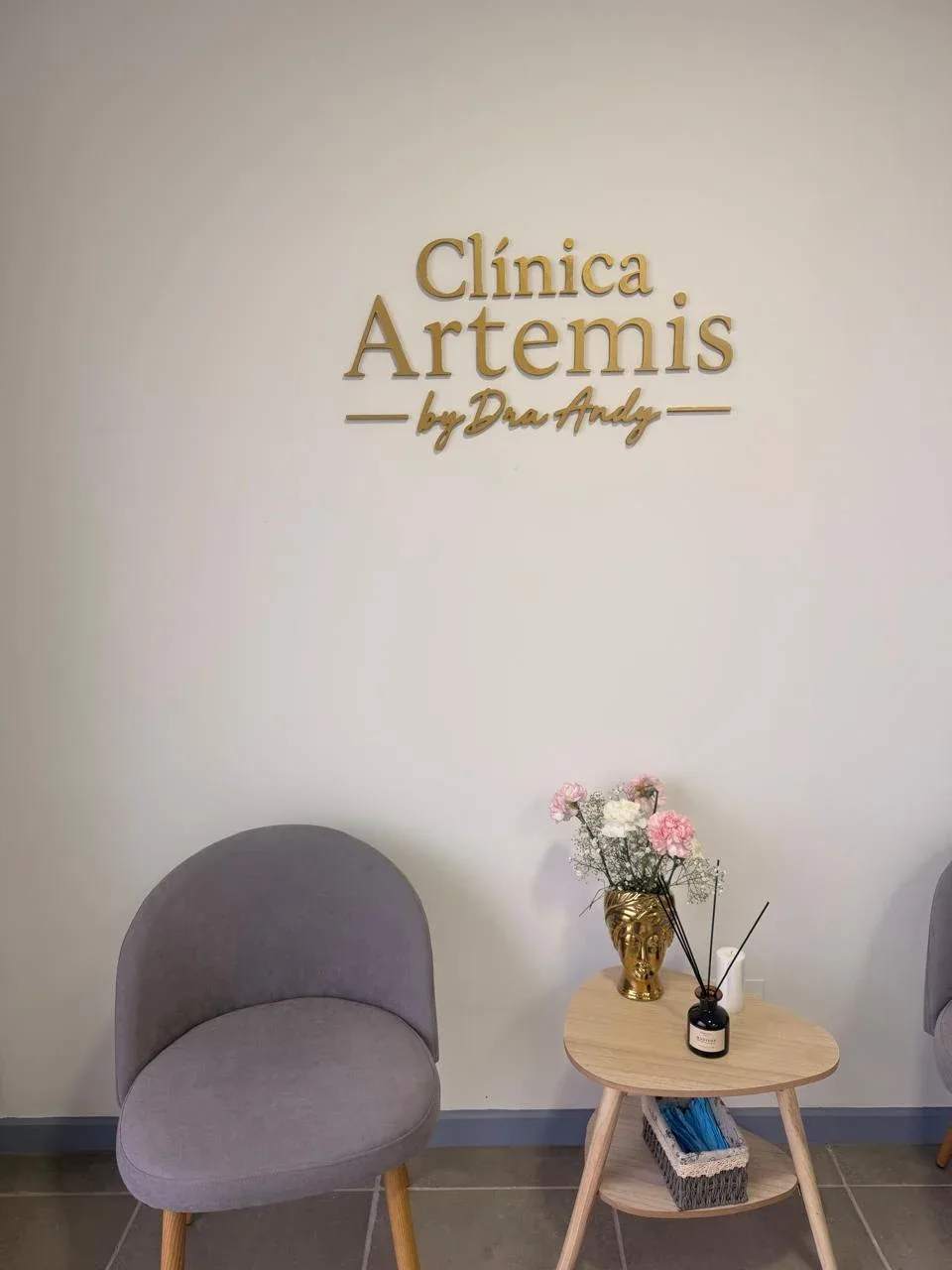 Clínica Artemis