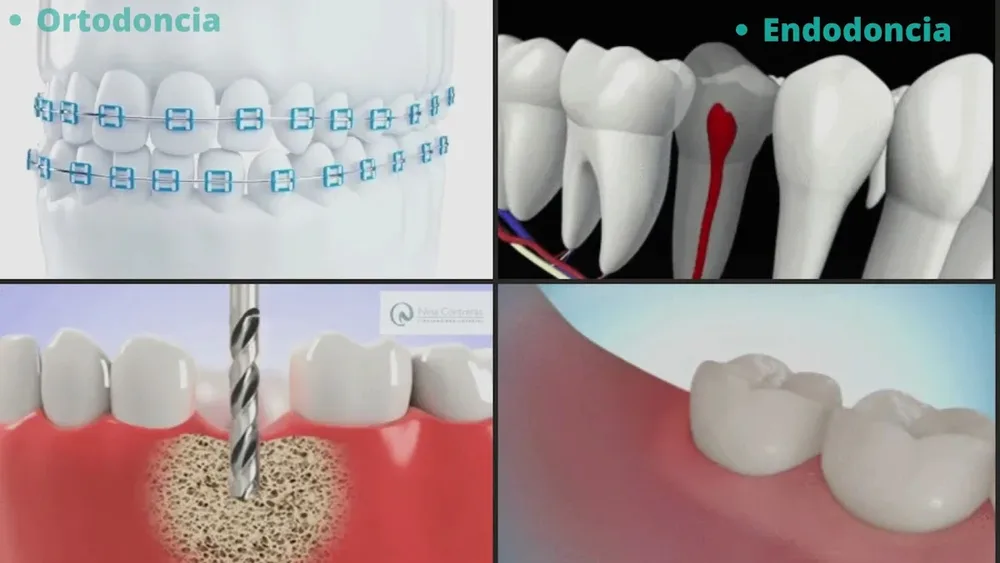 Clinica Dental San Clemente
