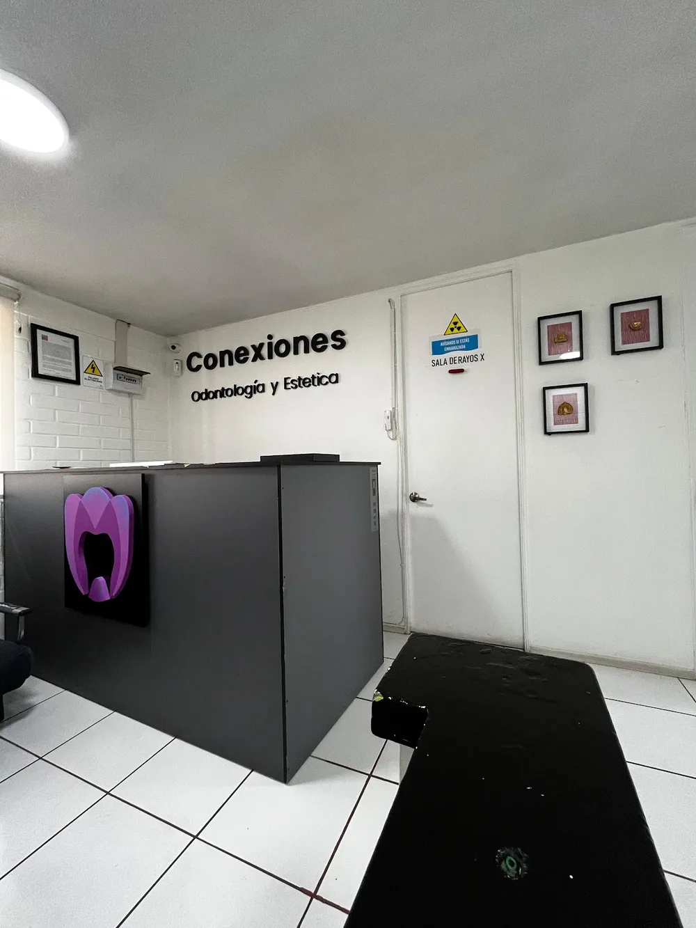 Conexiones Dental