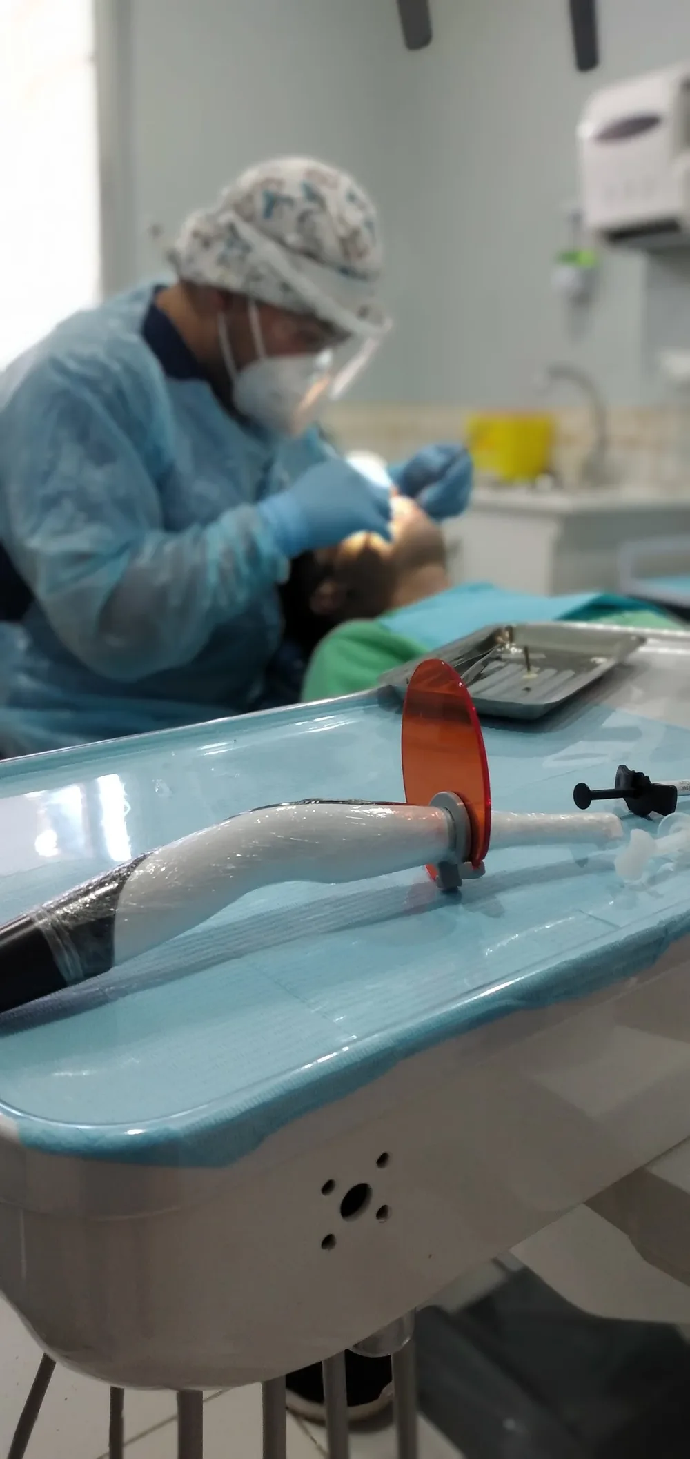 Dentaustral
