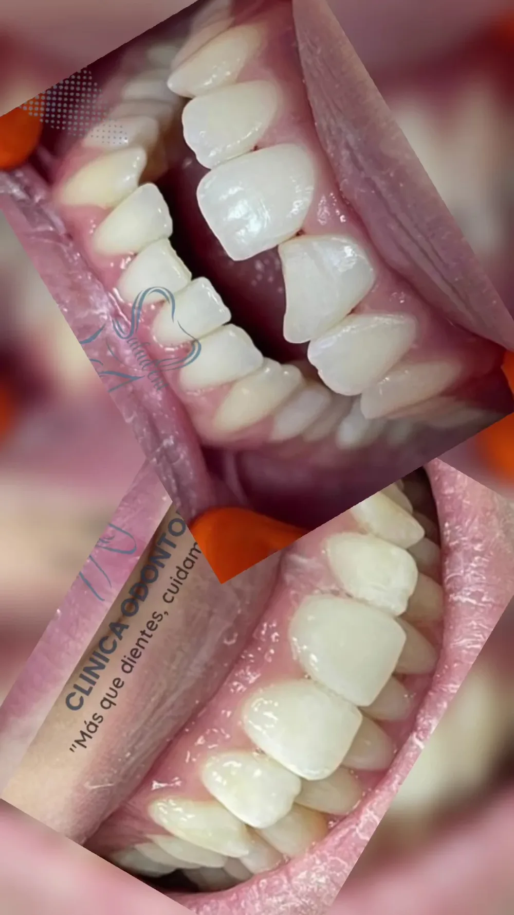 SaludDent Clinica Odontologica